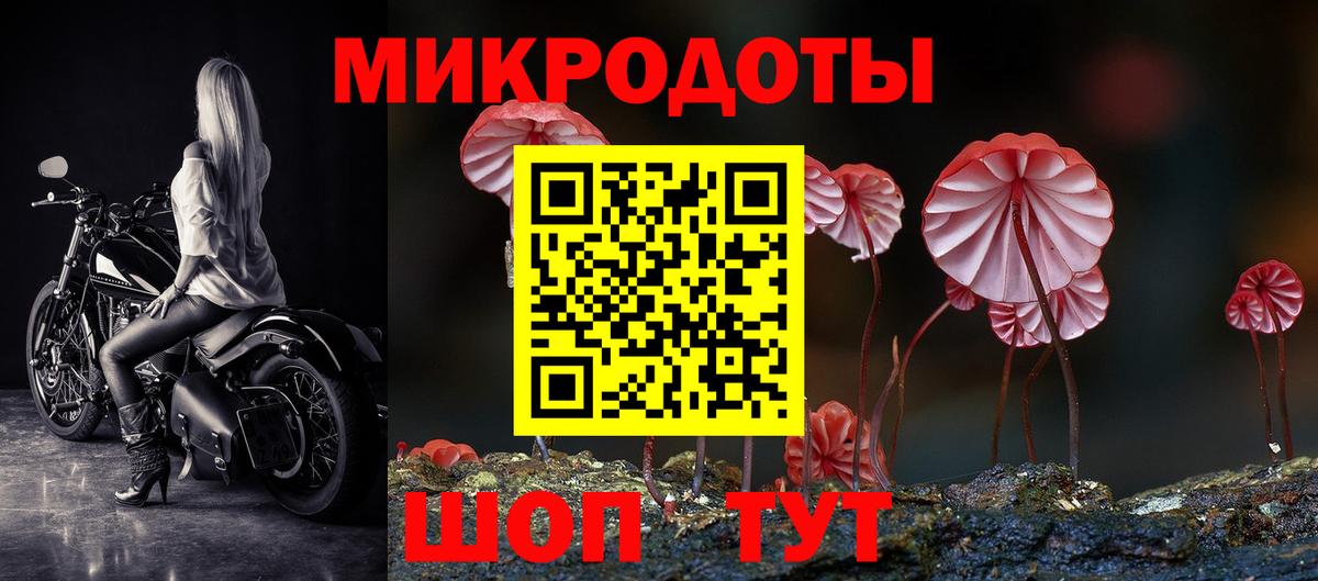 Псилоцибиновые грибы Psilocybine cubensis Узловая