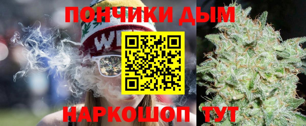 Канабис конопля Узловая